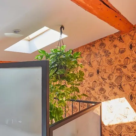 Remarkable Flat In The Historical Part Of 아파트