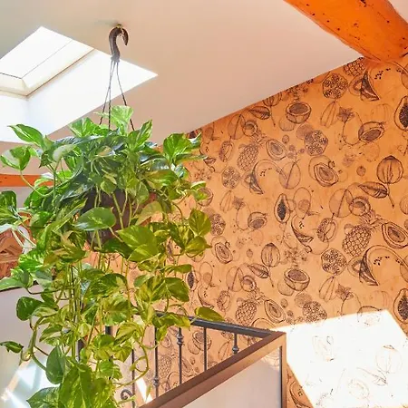 Appartement Historic Beziers Flat With A C Next To Les Halles Béziers