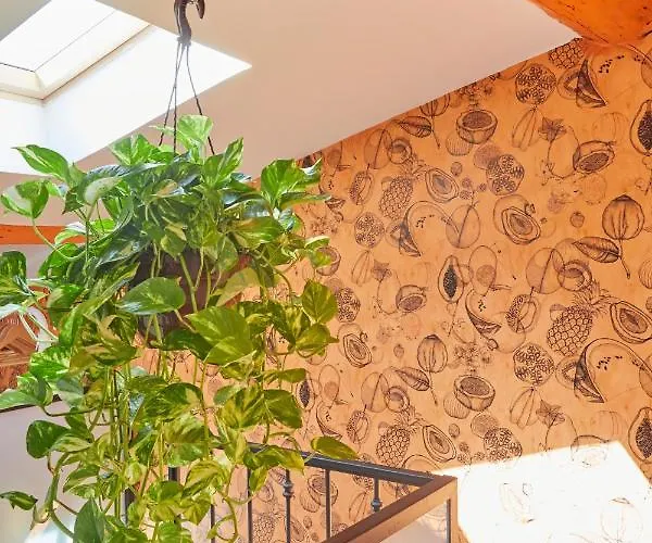 Διαμέρισμα Remarkable Flat In The Historical Part Of Μπεζιέ